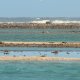 48- L'ocean dechaine derriere le recif 